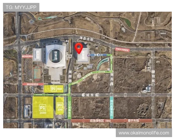 开云体育中文站详细指南帮助新手用户轻松上手体育投注流程