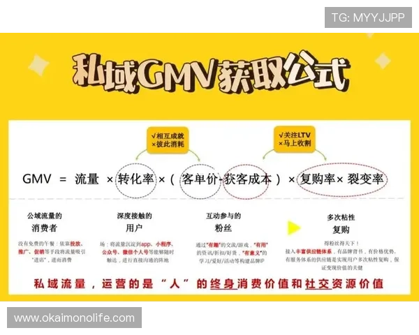 利用云开国际站提升海外市场的客户粘性与复购率的实用方法