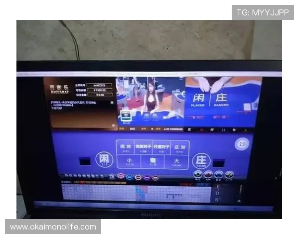 开云体育百家乐多种玩法介绍，满足不同玩家的多样需求